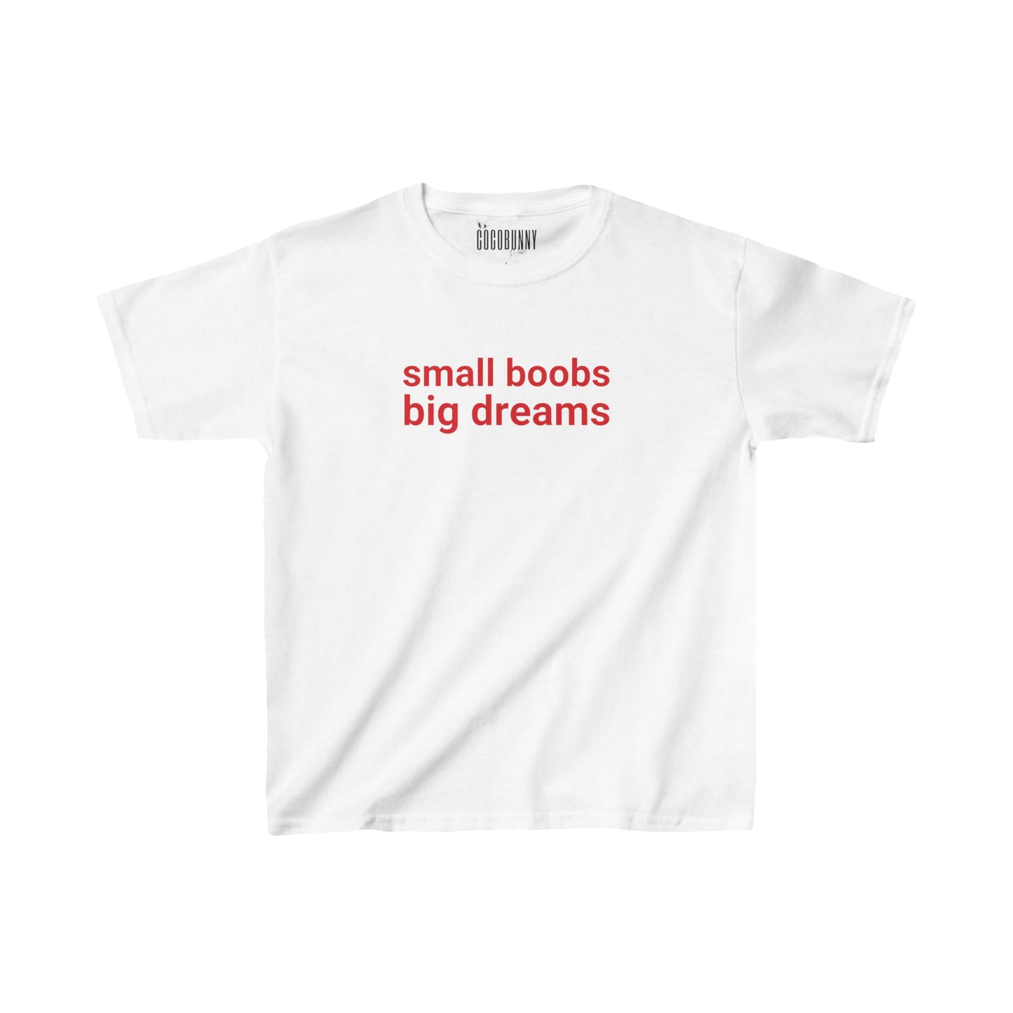 Small Boobs Big Dreams - Baby Tee