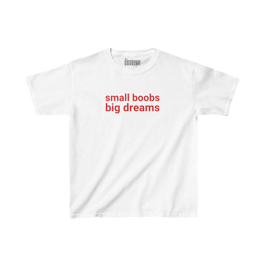 Small Boobs Big Dreams - Baby Tee