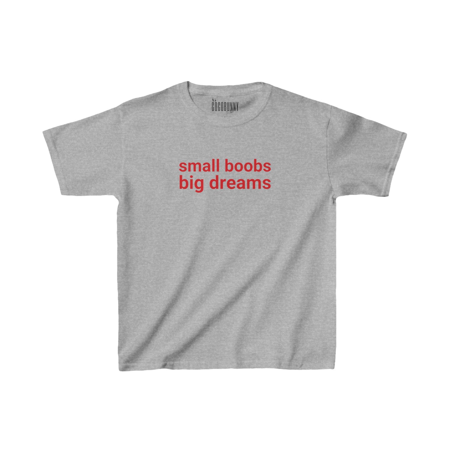 Small Boobs Big Dreams - Baby Tee