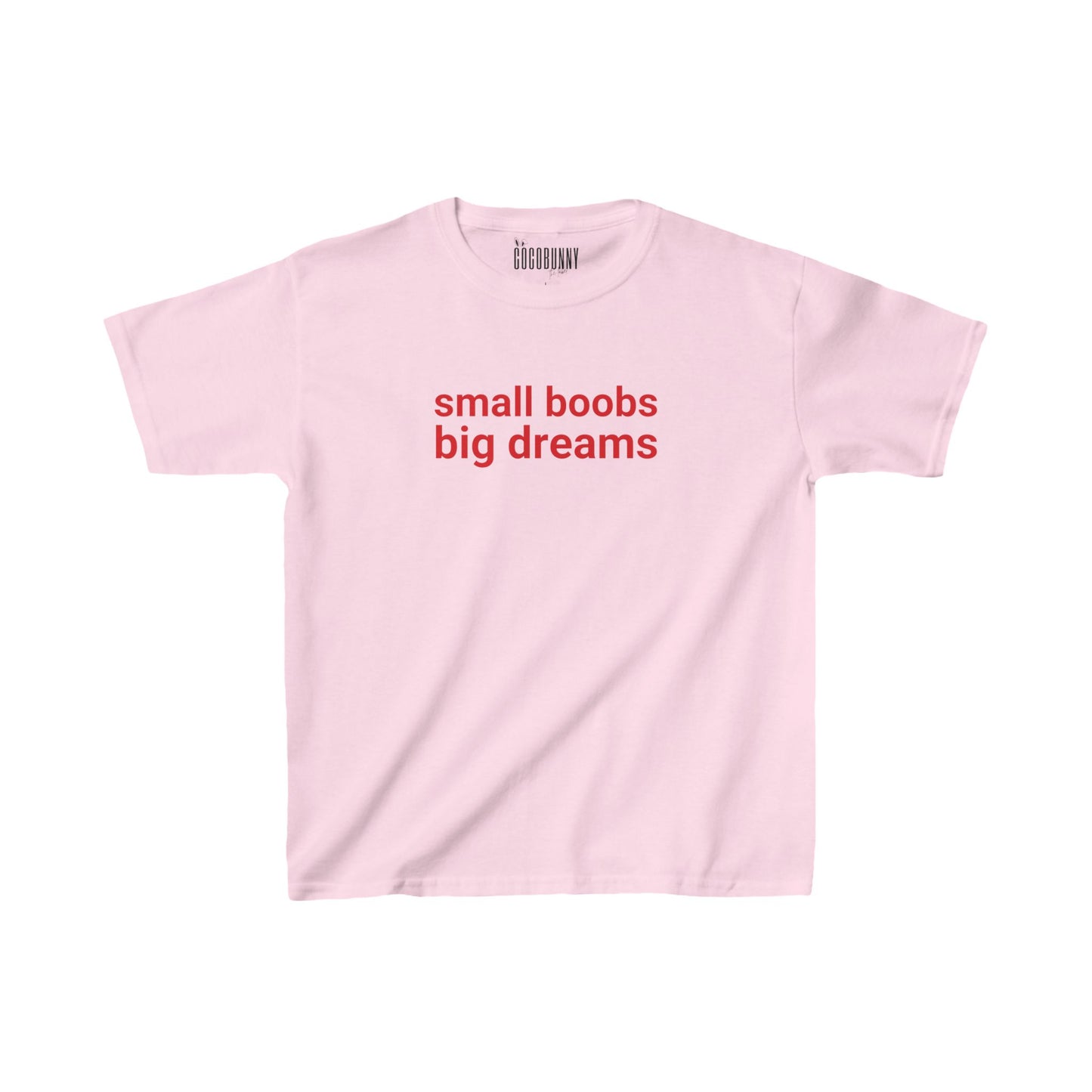 Small Boobs Big Dreams - Baby Tee