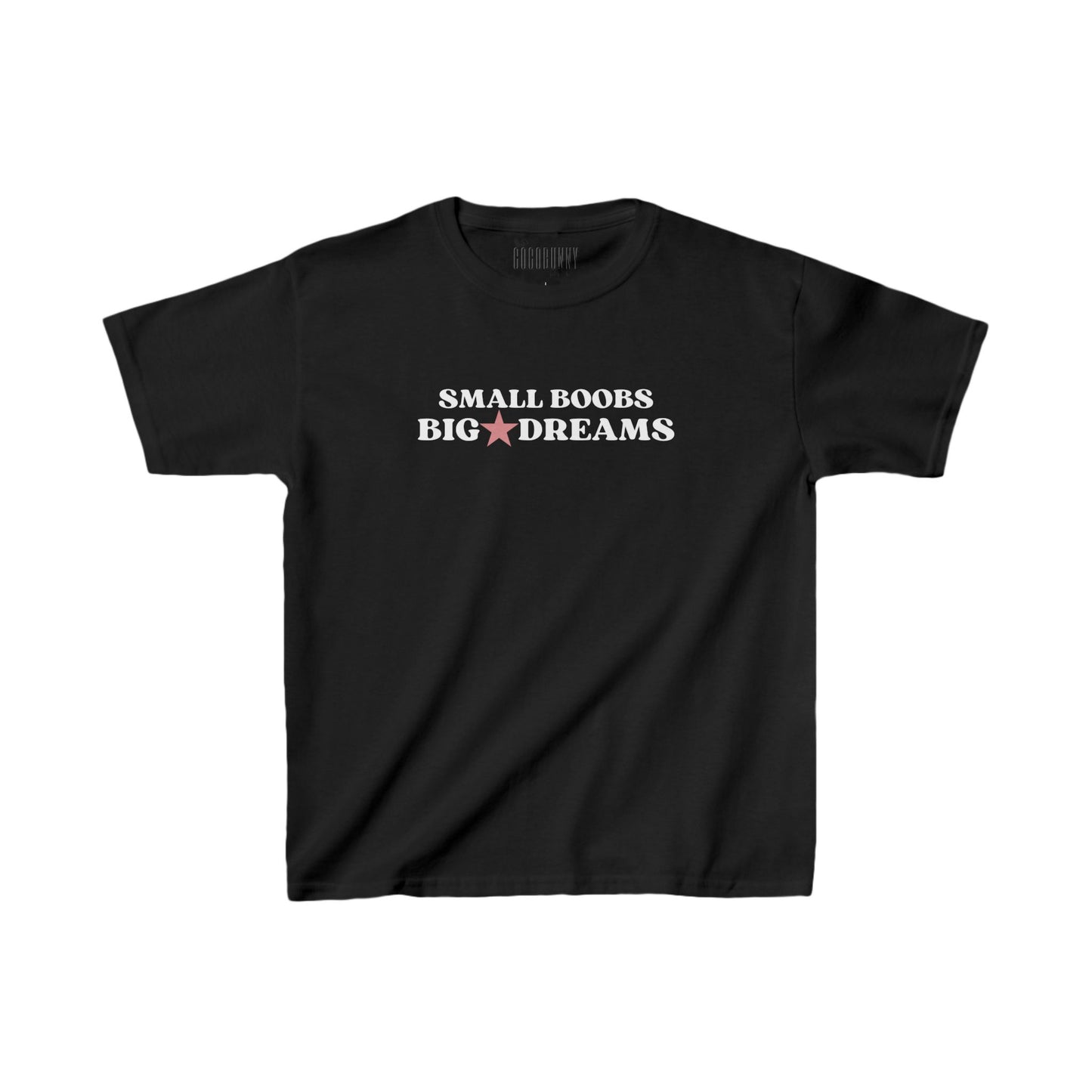 Small Boobs Big Dreams - Baby Tee